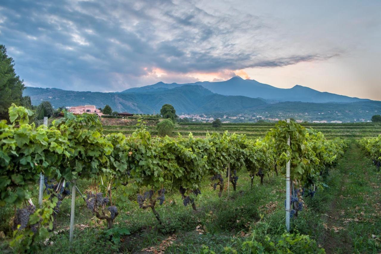 Agriturismo Tenuta San Michele Santa Venerina Exterior foto